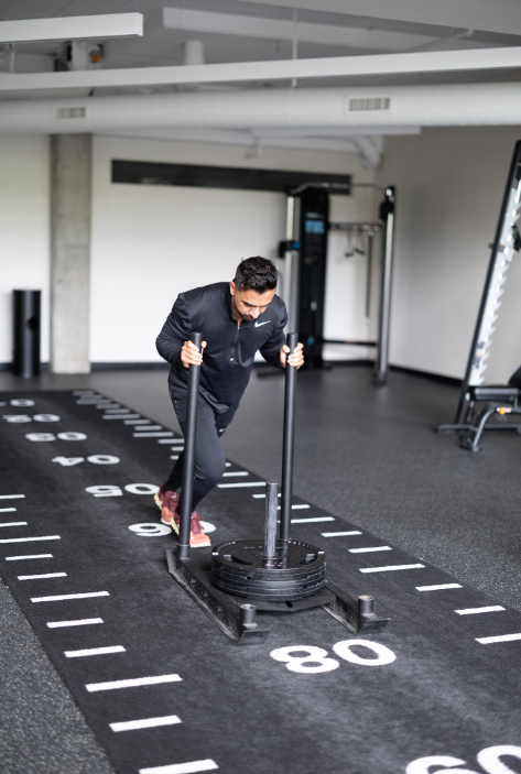 The Saker Metabolic Reset